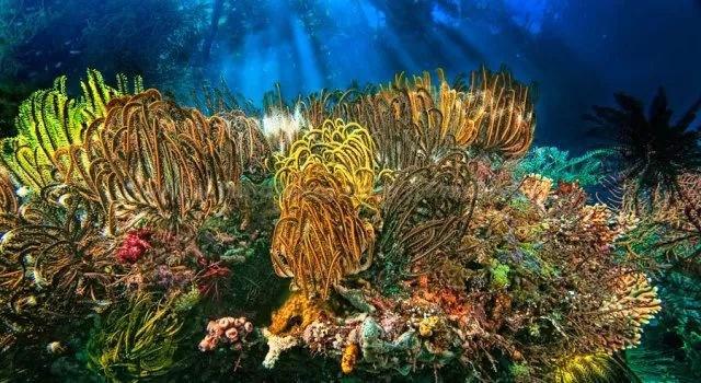 试管促排卵方案如何选？6大方案详细解读，总有一个适合你